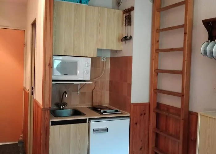 Apartment Familial Duplex La Foux D'allos Au Pied Du Telesiege